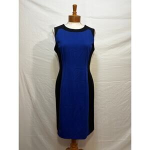 Calvin Klein Clolorblock Sleeveless Women's Sheath Dress (Size 10)